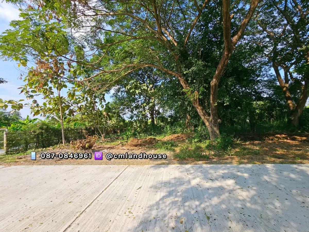 For SaleLandChiang Mai : Beautiful view land, 236 sq.w., very cheap, 10,000 per sq.w., opposite Hang Dong Hospital, beautiful land, filled in, has electricity, water, good concrete road.