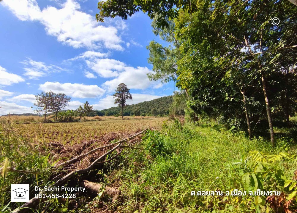 For SaleLandChiang Rai : Beautiful land for sale on a hill behind a mountain, 6 rai 55 sq wah, beautiful view, with teak trees, near the dual-track railway station, Ban Pong Kluea