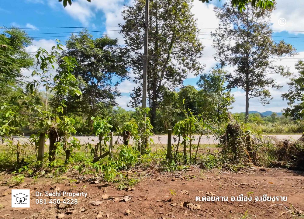 For SaleLandChiang Rai : Beautiful land for sale on a hill behind a mountain, 6 rai 55 sq wah, beautiful view, with teak trees, near the dual-track railway station, Ban Pong Kluea