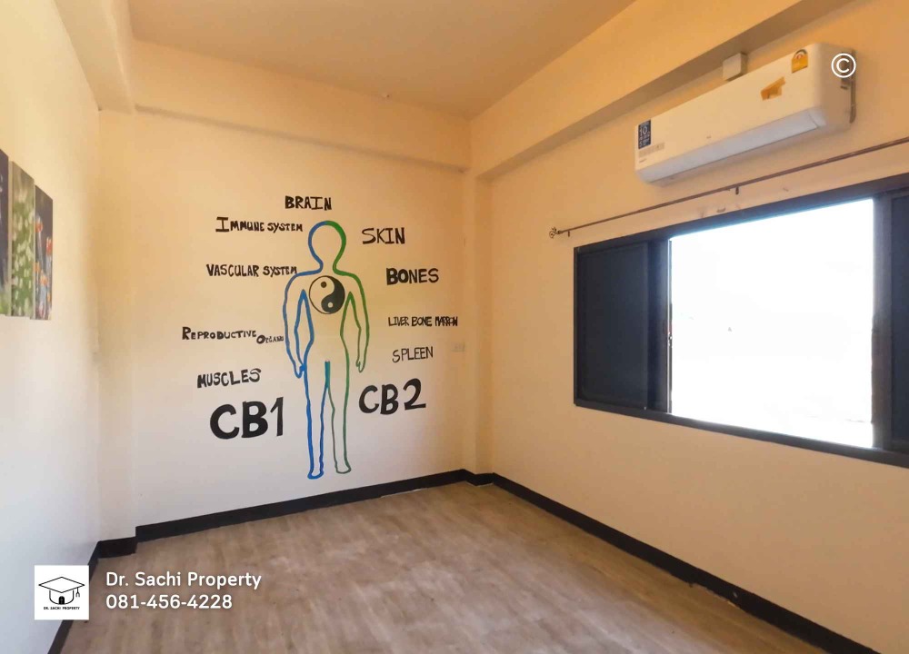 For SaleShop HouseLamphun : Commercial building for sale, Lamphun city, 2 units, 35.1 sq wah. (corner room), near Wat Phra That Hariphunchai