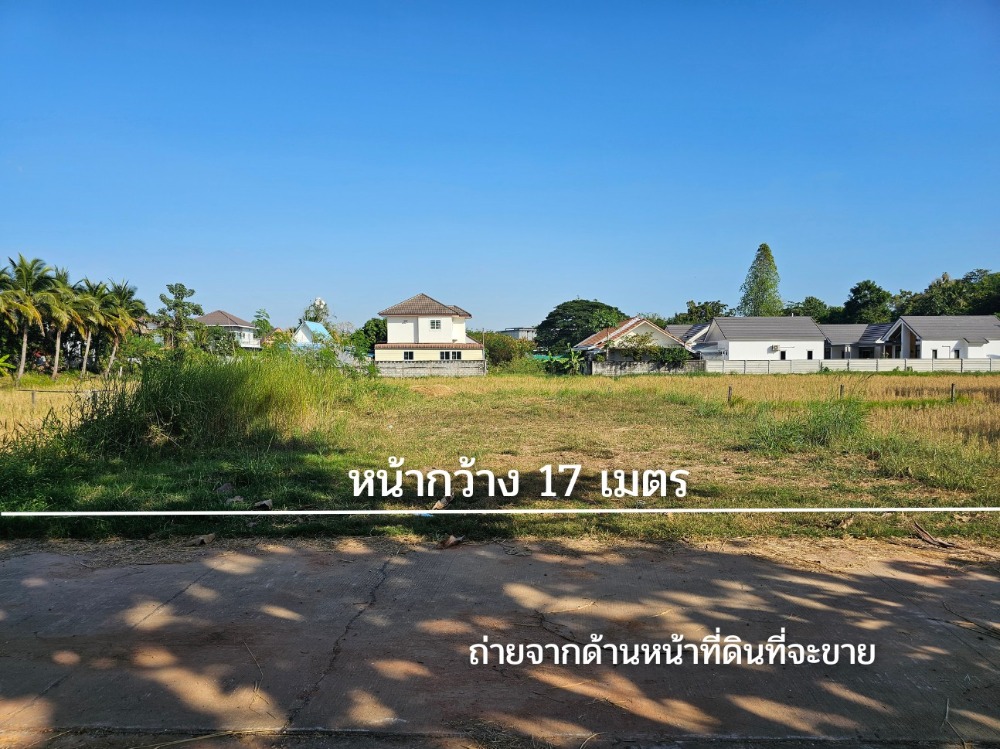 ขายที่ดินขอนแก่น : ที่ดินเปล่า 100ตารางวา ห่างตลาดหนองกุง ซีเจมอร์ เซเว่น 500เมตร