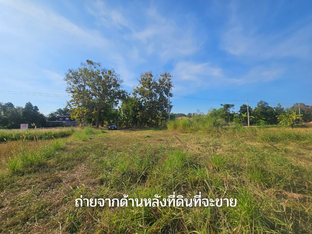 ขายที่ดินขอนแก่น : ที่ดินเปล่า 100ตารางวา ห่างตลาดหนองกุง ซีเจมอร์ เซเว่น 500เมตร