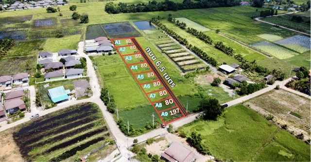 For SaleLandChachoengsao : Land for sale, divided into lots, small plots, near the main road, price lower than the market, Plaeng Yao District, Chachoengsao Province