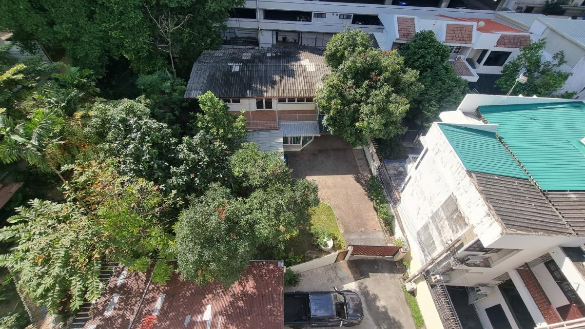 ให้เช่าสุขุมวิท อโศก ทองหล่อ : พร้อมพงษ์ Pet friendly อพาร์ทเมนท์ให้เช่า เหมาะสำหรับครอบครัว 3 ห้องนอน 4 ห้องน้ำ มีรถรับส่ง BTS และพื้นที่ใกล้เคียง