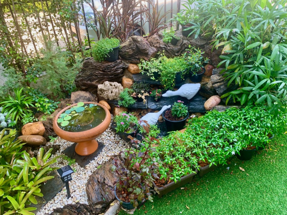 ขายบ้านลาดกระบัง สุวรรณภูมิ : เฟส6 55ตรว 3นอน3น้ำ บ้านเดี่ยว 2 ชั้น Perfect Place สุขุมวิท 77 สุวรรณภูมิ