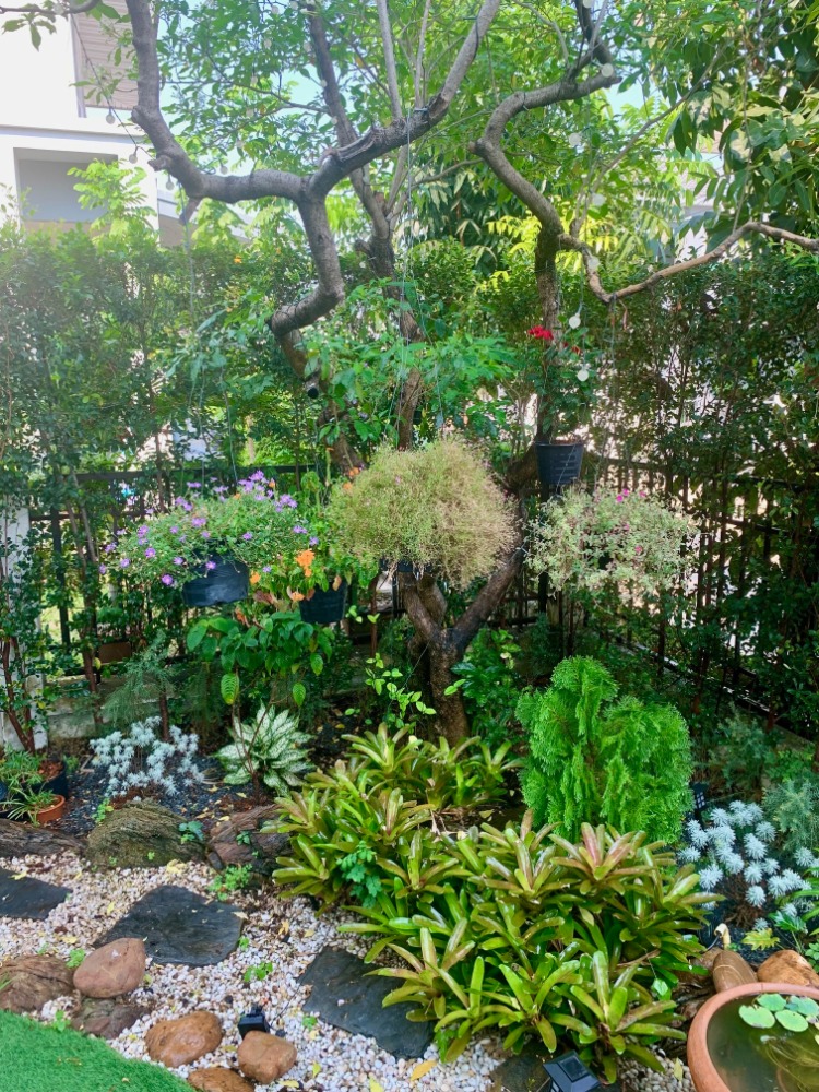 ขายบ้านลาดกระบัง สุวรรณภูมิ : เฟส6 55ตรว 3นอน3น้ำ บ้านเดี่ยว 2 ชั้น Perfect Place สุขุมวิท 77 สุวรรณภูมิ