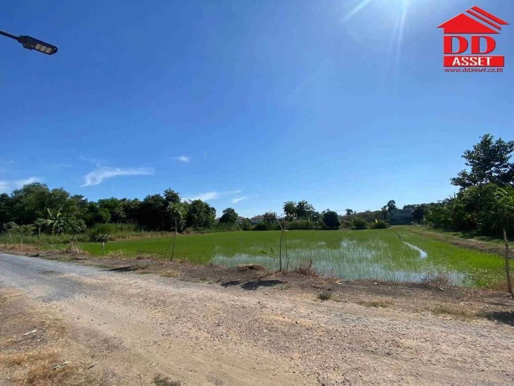 ขายที่ดินลาดกระบัง สุวรรณภูมิ : ขายที่ดินเปล่า ซอยฉลองกรุง 54 ลาดกระบัง รหัส : L8032