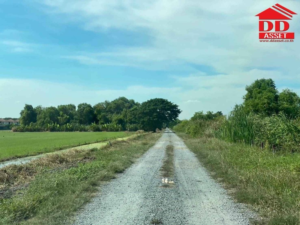 ขายที่ดินลาดกระบัง สุวรรณภูมิ : ขายที่ดินเปล่า ซอยฉลองกรุง 54 ลาดกระบัง รหัส : L8032