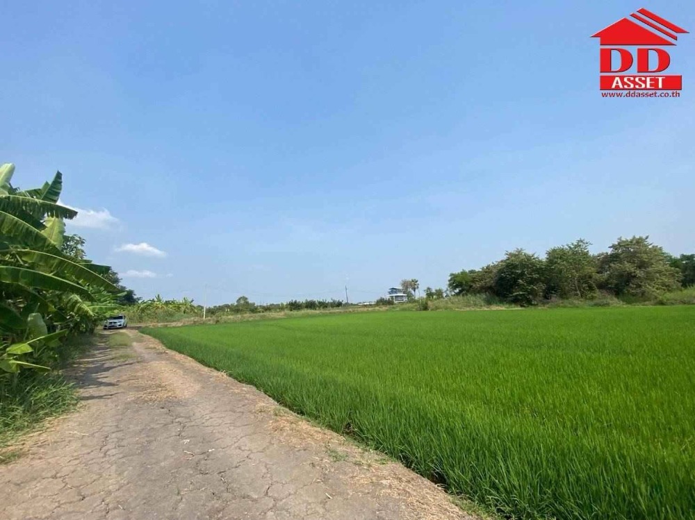 ขายที่ดินลาดกระบัง สุวรรณภูมิ : ขายที่ดินเปล่า ซอยฉลองกรุง 54 ลาดกระบัง รหัส : L8032