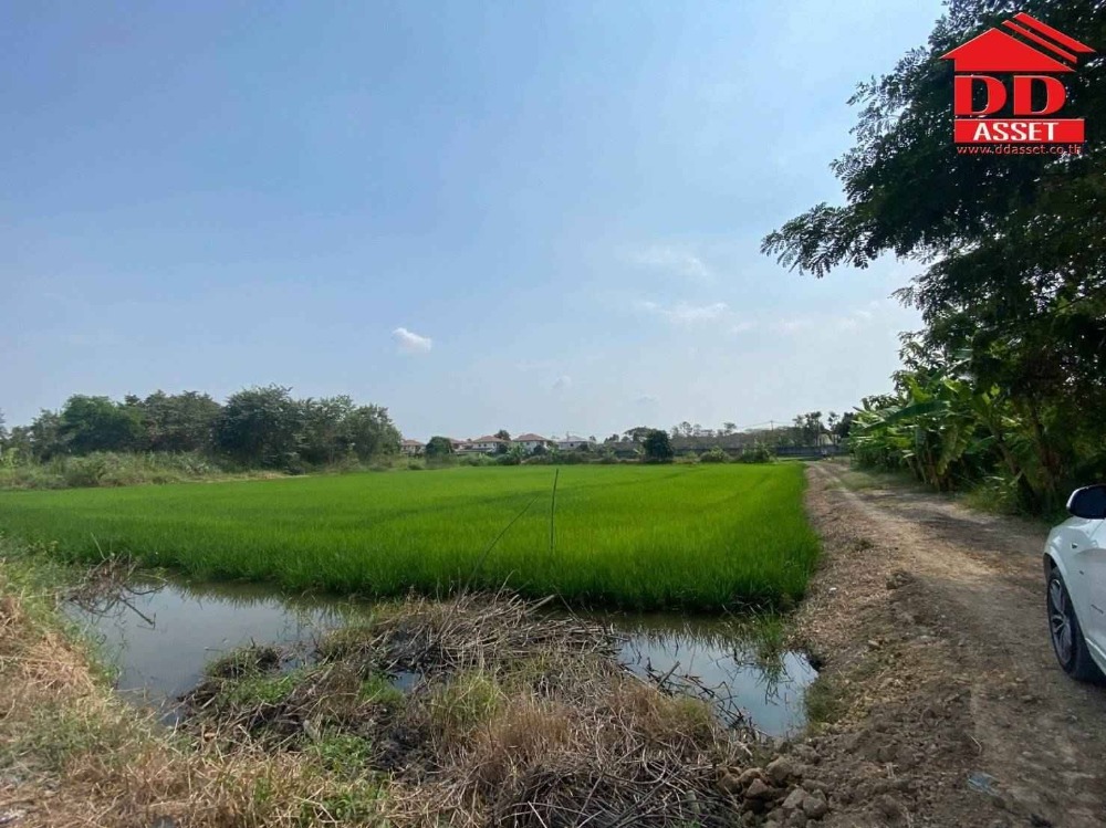 ขายที่ดินลาดกระบัง สุวรรณภูมิ : ขายที่ดินเปล่า ซอยฉลองกรุง 54 ลาดกระบัง รหัส : L8032