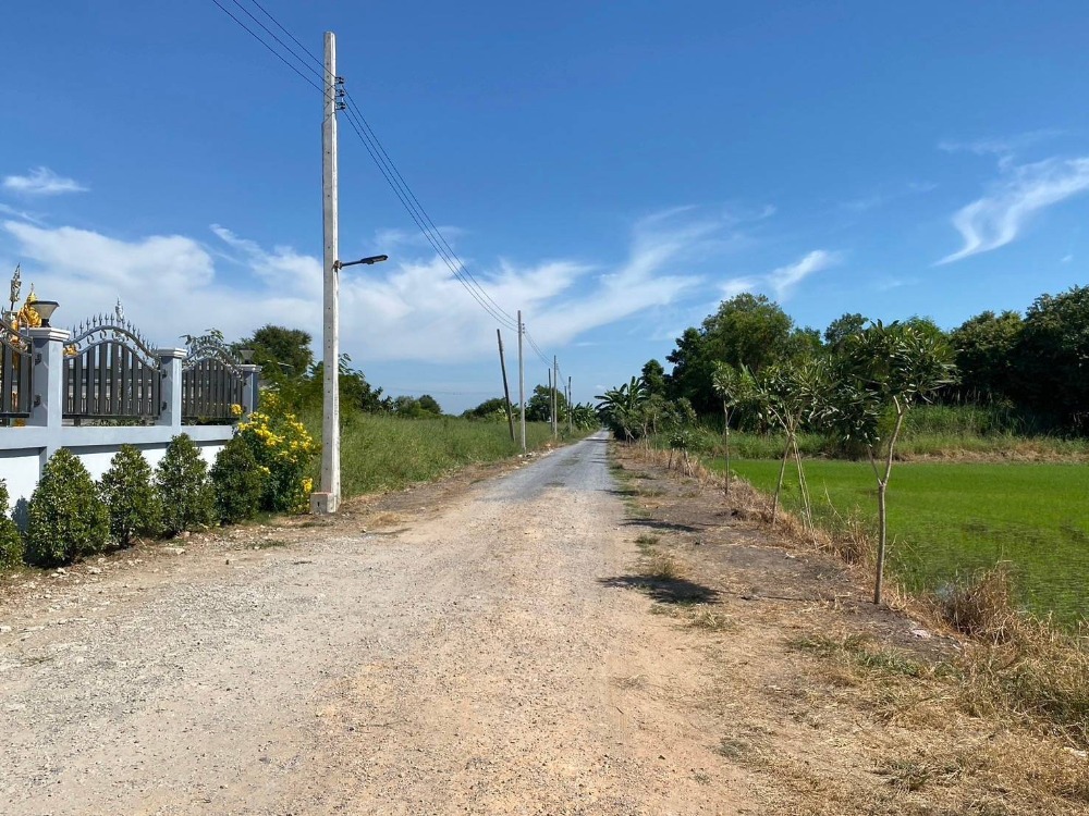 ขายที่ดินลาดกระบัง สุวรรณภูมิ : ขายที่ดินเปล่า ซอยฉลองกรุง 54 ลาดกระบัง รหัส : L8032