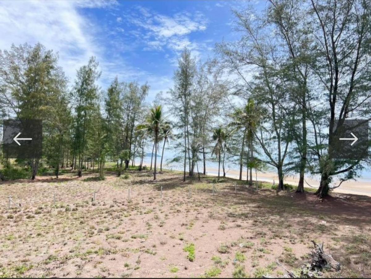 ขายที่ดินหัวหิน ประจวบคีรีขันธ์ : 📢👇ขาย ที่ดิน ติดทะเล หาดสวย น้ำใส สงบเงียบ ราคาไม่แพง เหมาะที่จะทำบ้านพักตากอากาศ หรือ รีสอร์ต