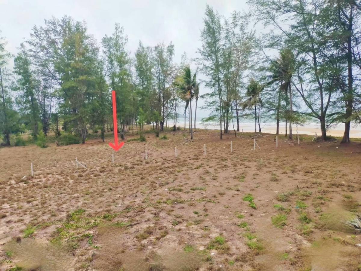 ขายที่ดินหัวหิน ประจวบคีรีขันธ์ : 📢👇ขาย ที่ดิน ติดทะเล หาดสวย น้ำใส สงบเงียบ ราคาไม่แพง เหมาะที่จะทำบ้านพักตากอากาศ หรือ รีสอร์ต