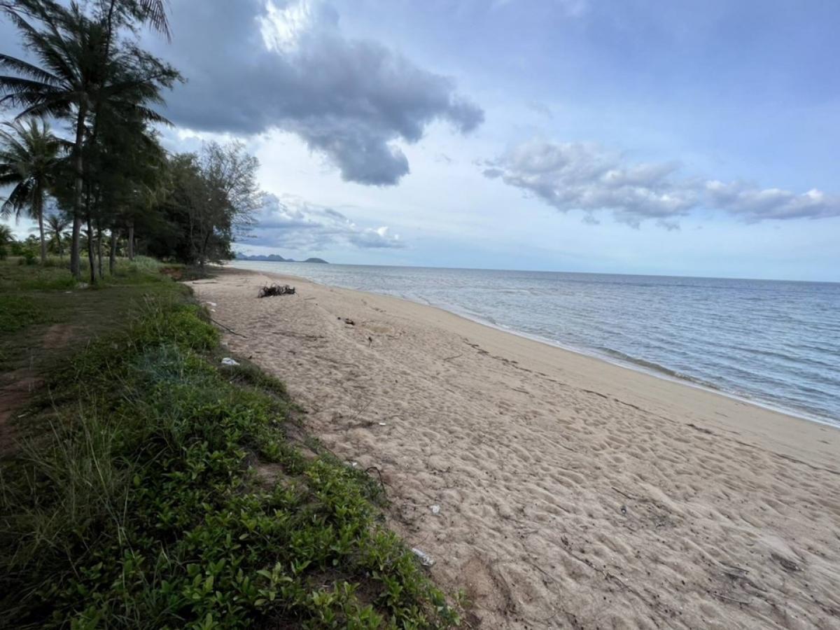 ขายที่ดินหัวหิน ประจวบคีรีขันธ์ : 📢👇ขาย ที่ดิน ติดทะเล หาดสวย น้ำใส สงบเงียบ ราคาไม่แพง เหมาะที่จะทำบ้านพักตากอากาศ หรือ รีสอร์ต