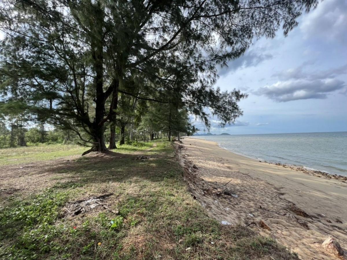 ขายที่ดินหัวหิน ประจวบคีรีขันธ์ : 📢👇ขาย ที่ดิน ติดทะเล หาดสวย น้ำใส สงบเงียบ ราคาไม่แพง เหมาะที่จะทำบ้านพักตากอากาศ หรือ รีสอร์ต