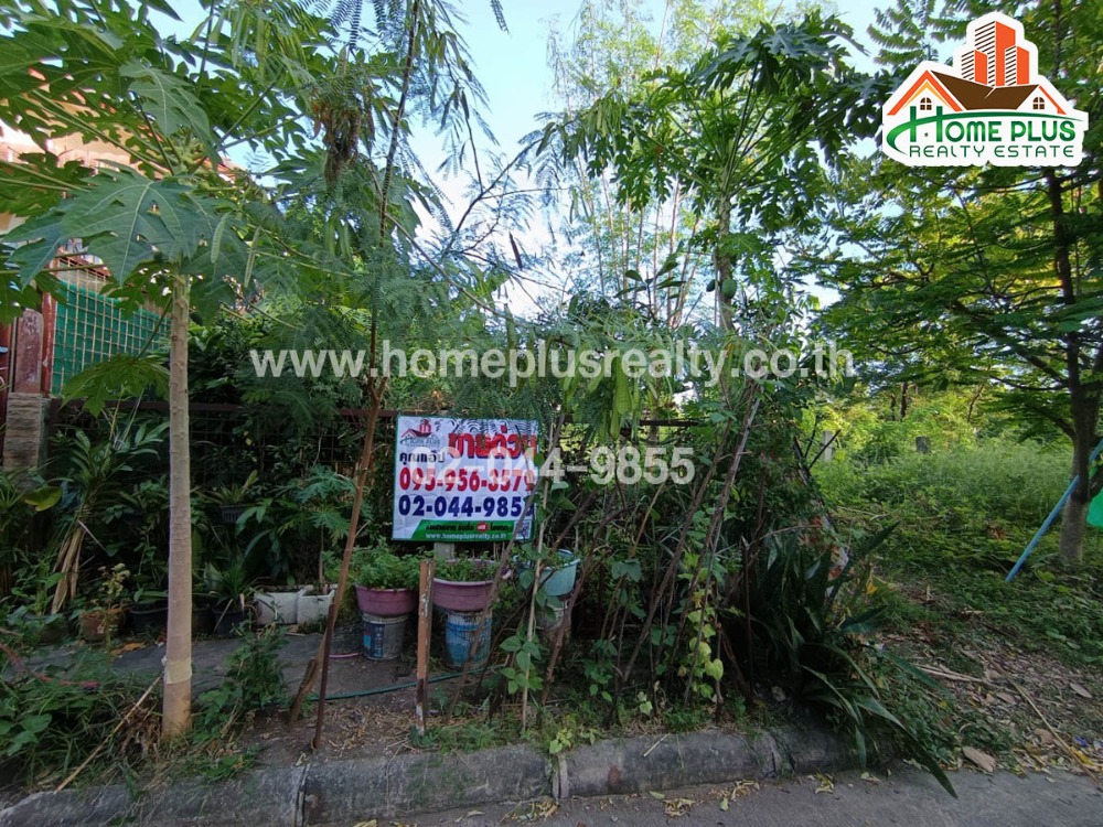 ขายที่ดินลาดกระบัง สุวรรณภูมิ : ที่ดินในโครงการเมืองทองการ์เดนส์โซน1 ซอยพัฒนาการ65 แยก4 (ขาย 2 แปลงรวม)