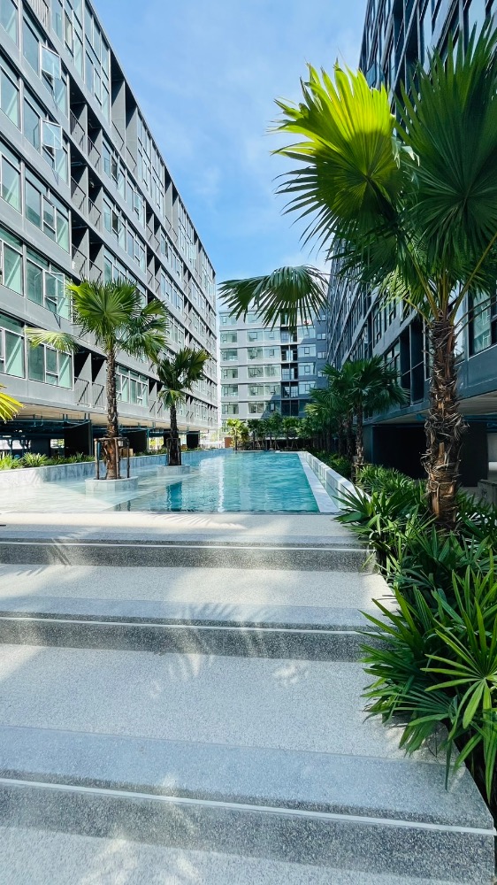 ให้เช่าคอนโดพัทยา บางแสน ชลบุรี สัตหีบ : 🎉🎉🎉 คอนโดใหม่พร้อมเข้าอยู่ได้ Indeed condo park Amata ชีวิตที่ดีกว่าสำหรับชาวอมตะ พร้อมเข้าอยู่ กลางเดือนตุลาคมนี้