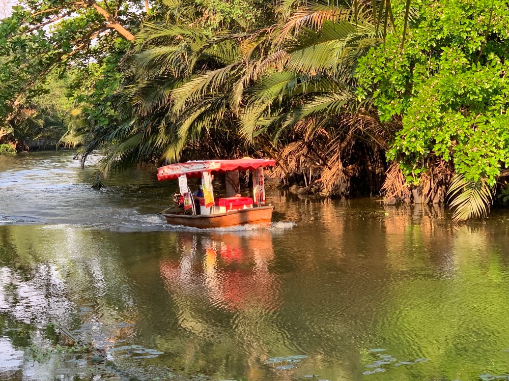 ขายที่ดินสมุทรสงคราม : 🔥ขายด่วน🔥ที่ดินริมคลองอัมพวา (ติดคลองหน้ากว้างเกือบ 100 ม.) เป็นแปลงที่มีศักยภาพสูงทั้งเพื่ออยู่อาศัยและลงทุน