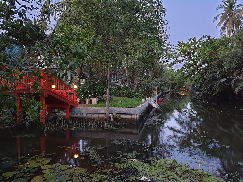 ขายที่ดินสมุทรสงคราม : 🔥ขายด่วน🔥ที่ดินริมคลองอัมพวา (ติดคลองหน้ากว้างเกือบ 100 ม.) เป็นแปลงที่มีศักยภาพสูงทั้งเพื่ออยู่อาศัยและลงทุน