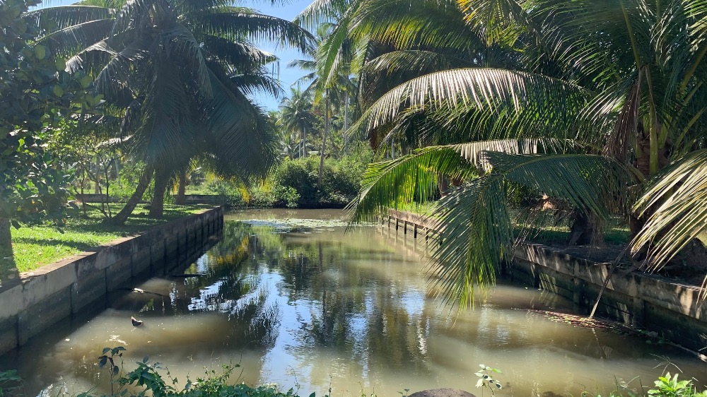 For SaleLandSamut Songkhram : 🔥Urgent sale🔥Land along Amphawa Canal (next to a canal with a width of almost 100 m.) is a plot with high potential for both residential and investment purposes.
