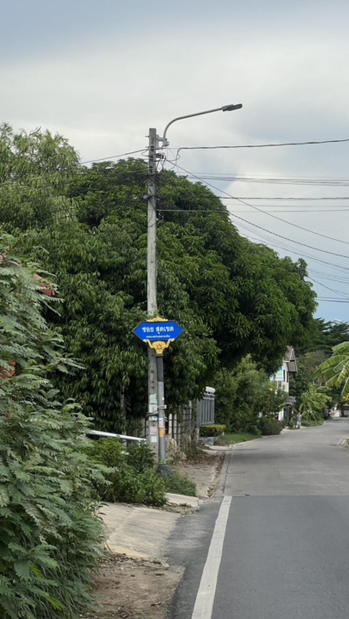 ขายที่ดินนนทบุรี บางใหญ่ บางบัวทอง : ขายที่ดิน 68 ตารางวา ในซอยวัดเสาธงหิน