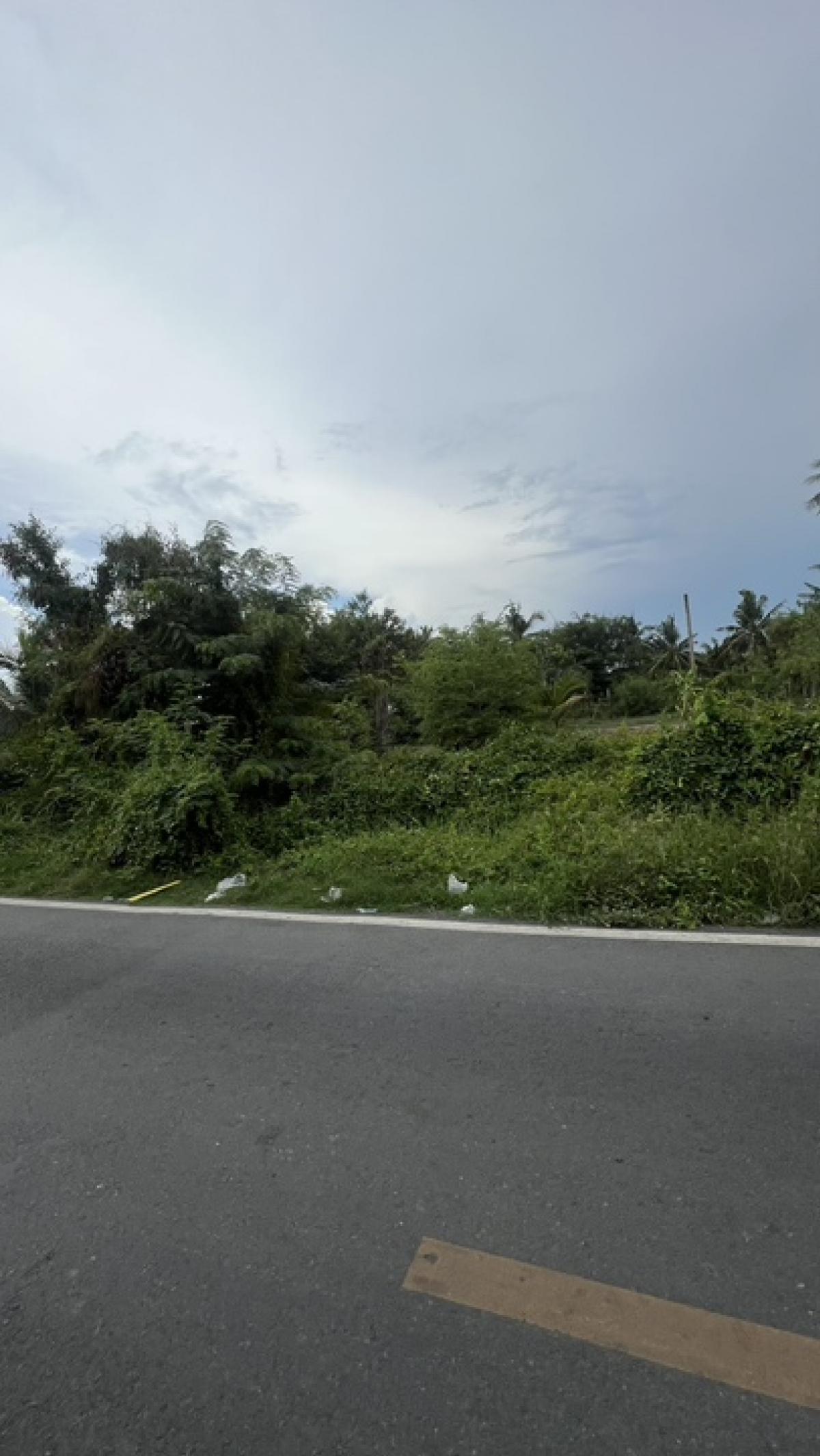 ขายที่ดินนนทบุรี บางใหญ่ บางบัวทอง : ขายที่ดิน 68 ตารางวา ในซอยวัดเสาธงหิน