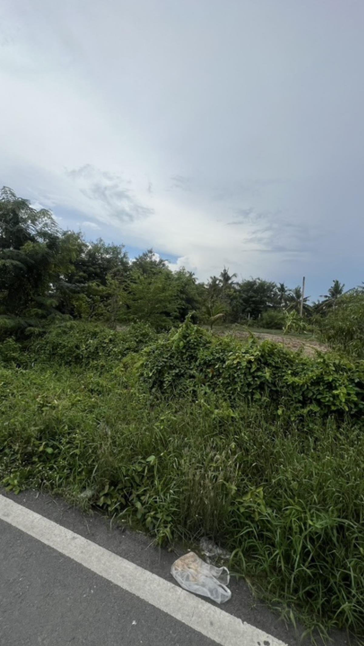 ขายที่ดินนนทบุรี บางใหญ่ บางบัวทอง : ขายที่ดิน 68 ตารางวา ในซอยวัดเสาธงหิน