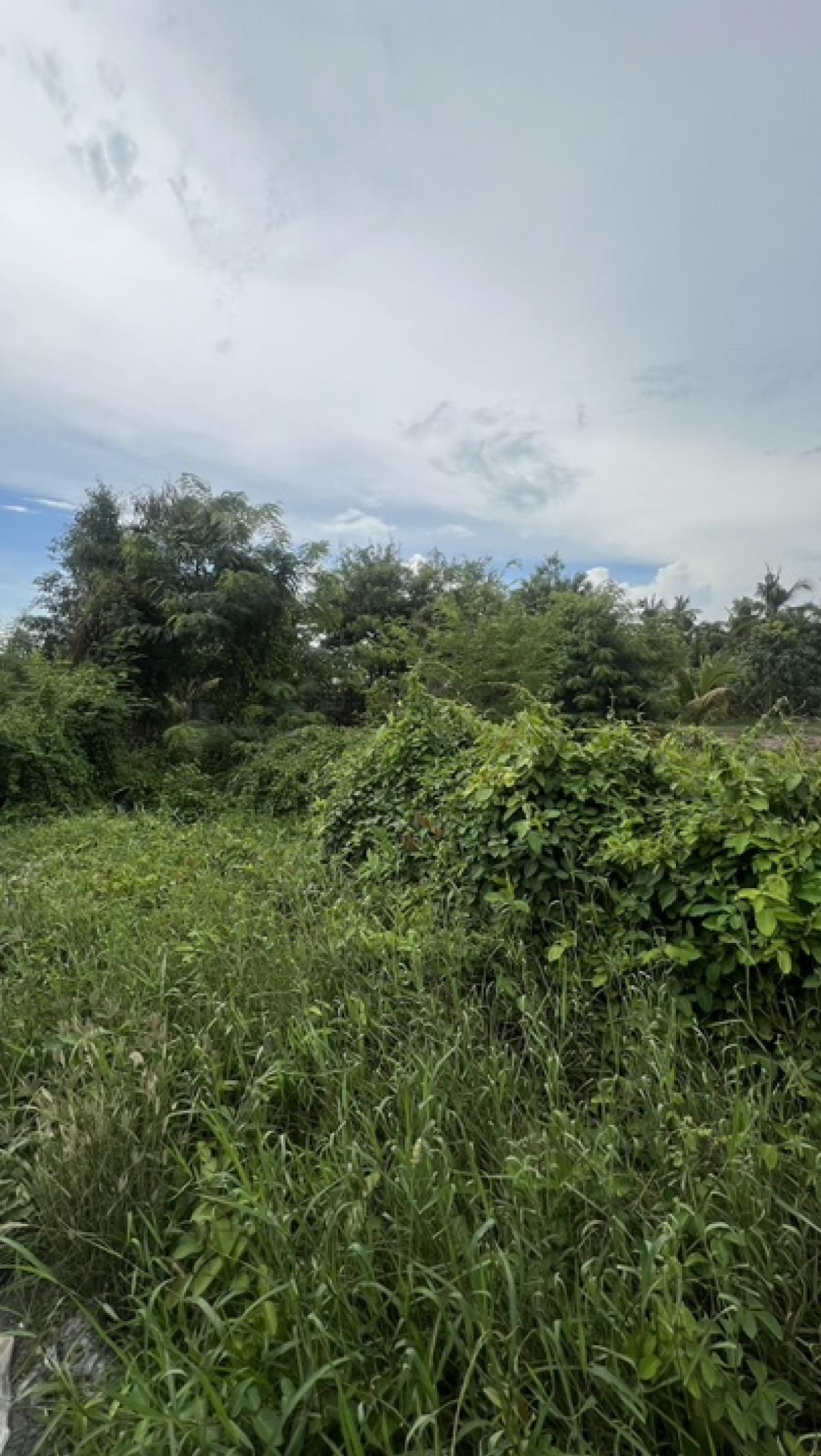 ขายที่ดินนนทบุรี บางใหญ่ บางบัวทอง : ขายที่ดิน 68 ตารางวา ในซอยวัดเสาธงหิน