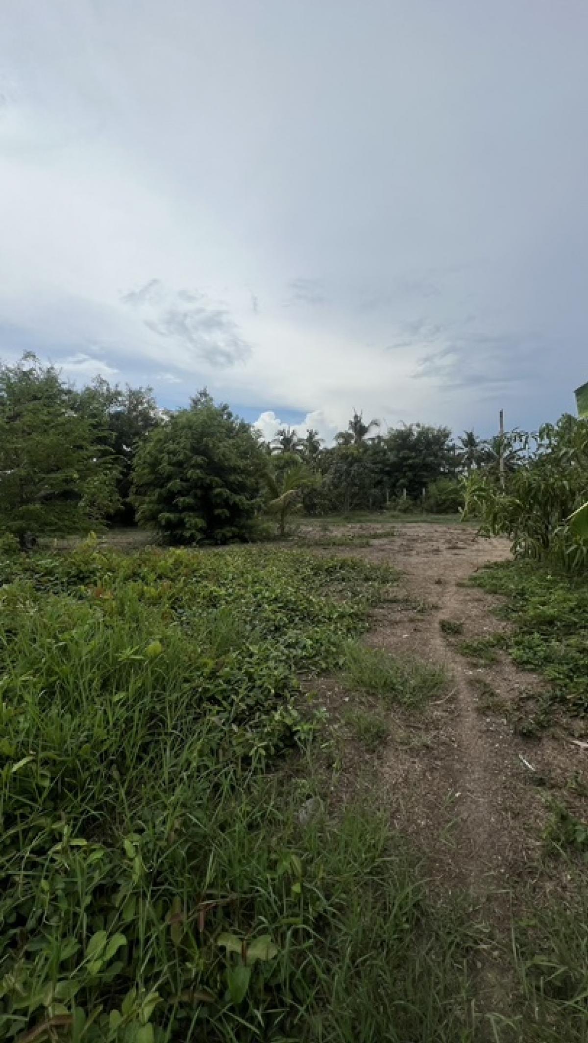 ขายที่ดินนนทบุรี บางใหญ่ บางบัวทอง : ขายที่ดิน 68 ตารางวา ในซอยวัดเสาธงหิน