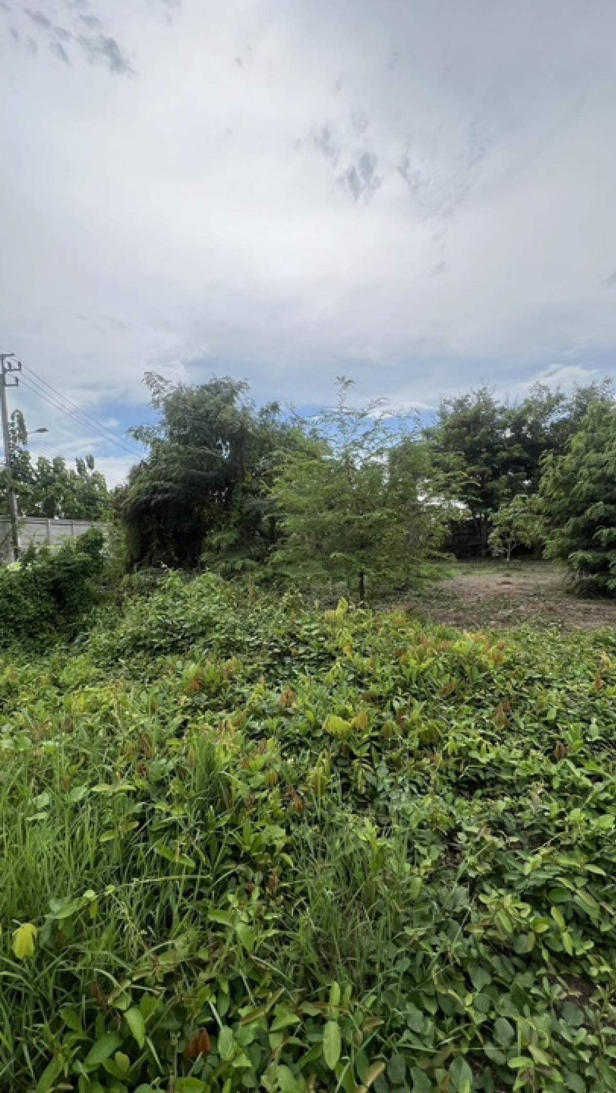 ขายที่ดินนนทบุรี บางใหญ่ บางบัวทอง : ขายที่ดิน 68 ตารางวา ในซอยวัดเสาธงหิน