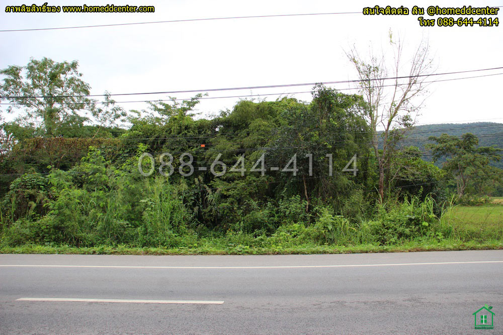 ขายที่ดินเชียงราย : ขายที่ดิน เชียงราย ถนนพหลโยธิน (ทล1) อ.พาน จ.เชียงราย 3-0-22 ไร่ ใกล้ ม.เทคโนฯ ราชมงคล ล้านนา วัดร่องขุ่น