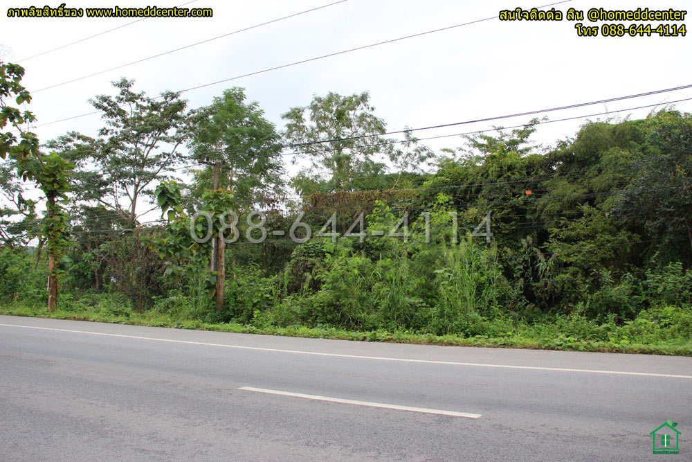 ขายที่ดินเชียงราย : ขายที่ดิน เชียงราย ถนนพหลโยธิน (ทล1) อ.พาน จ.เชียงราย 3-0-22 ไร่ ใกล้ ม.เทคโนฯ ราชมงคล ล้านนา วัดร่องขุ่น