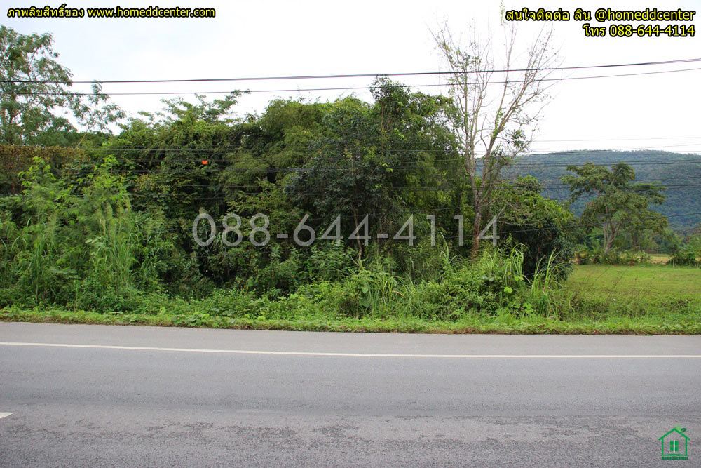 ขายที่ดินเชียงราย : ขายที่ดิน เชียงราย ถนนพหลโยธิน (ทล1) อ.พาน จ.เชียงราย 3-0-22 ไร่ ใกล้ ม.เทคโนฯ ราชมงคล ล้านนา วัดร่องขุ่น