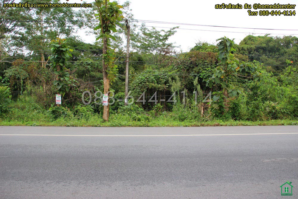 ขายที่ดินเชียงราย : ขายที่ดิน เชียงราย ถนนพหลโยธิน (ทล1) อ.พาน จ.เชียงราย 3-0-22 ไร่ ใกล้ ม.เทคโนฯ ราชมงคล ล้านนา วัดร่องขุ่น