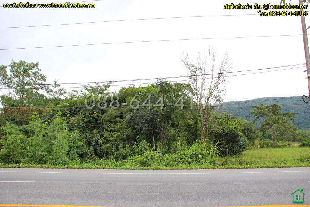 ขายที่ดินเชียงราย : ขายที่ดิน เชียงราย ถนนพหลโยธิน (ทล1) อ.พาน จ.เชียงราย 3-0-22 ไร่ ใกล้ ม.เทคโนฯ ราชมงคล ล้านนา วัดร่องขุ่น