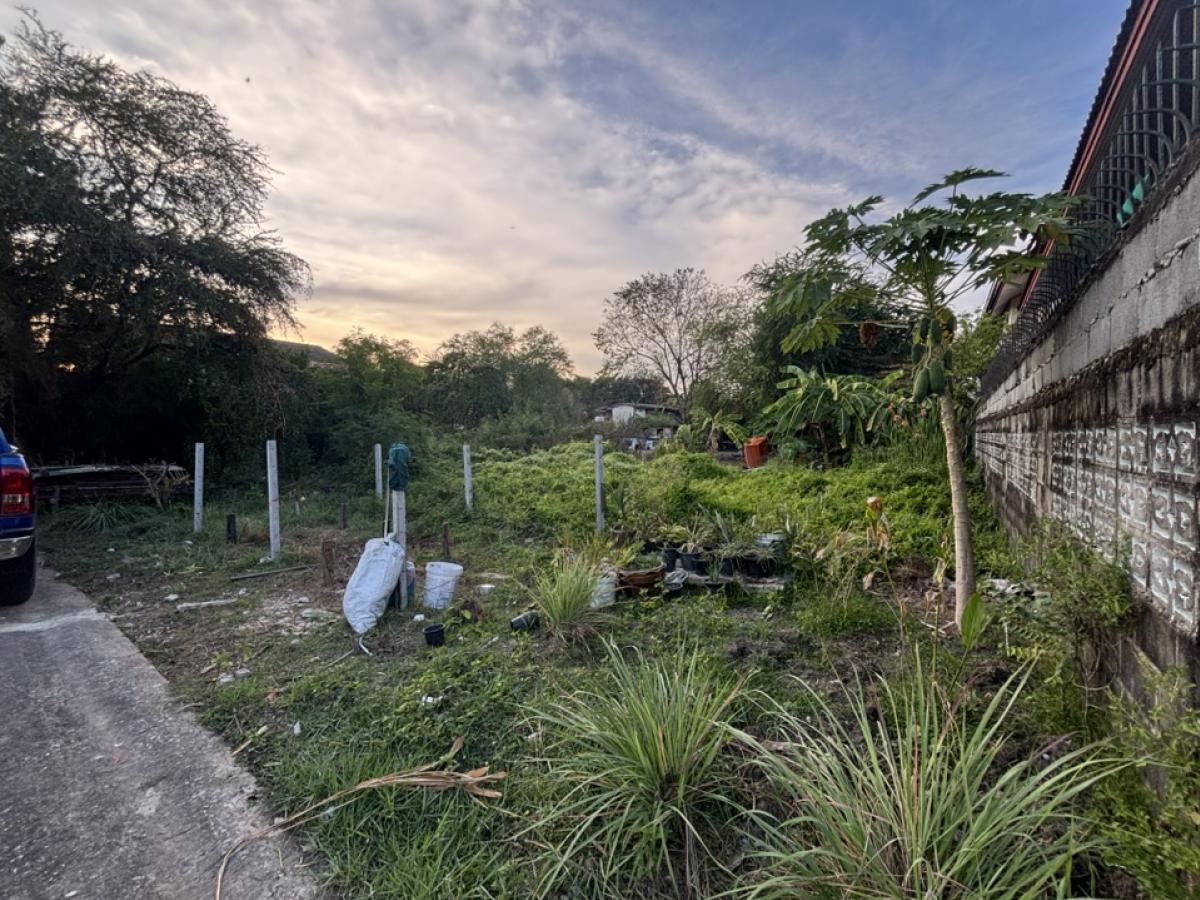 For SaleLandMin Buri, Romklao : ❤️❤️Land for sale, Minburi, Saen Saep, Soi Suwinthawong 18/1, Bangkok, 4 plots, very beautiful rectangular shape, 4 title deeds (4 adjacent plots), 61 sq.w. per plot, only 3 million per plot, total 244 sq.w., selling the whole plot for only 12 million (49