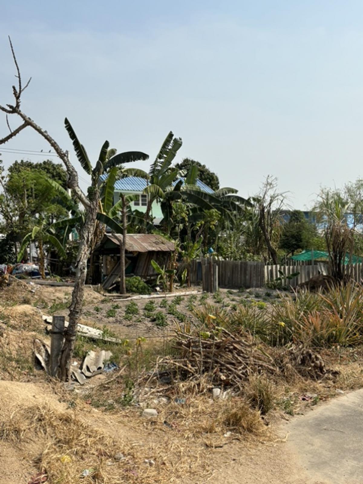 ขายที่ดินศรีราชา แหลมฉบัง บ้านบึง : ที่ดินแปลงสวย 124 ตร.วา เหมาะสร้างบ้าน ในทำเลทอง ศรีราชา ใกล้มอเตอร์เวย์และชุมชน!