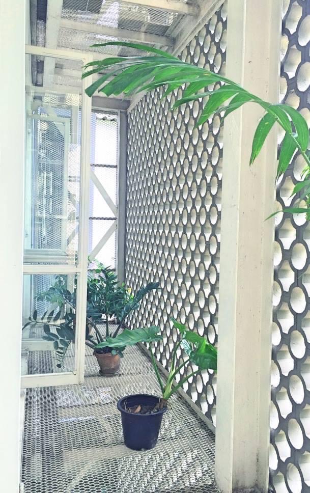 ขายโฮมออฟฟิศสุขุมวิท อโศก ทองหล่อ : Home Office For Sale in Sukhumvit 49, near Smitivej Hospital