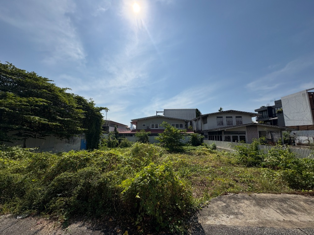 ขายที่ดินอ่อนนุช อุดมสุข : ที่ดิน ปรีดีพนมยงค์ 15 / 97 ตารางวา (ขาย), Land Pridi Banomyong 15 / 97 Square Wa (FOR SALE) PALM848