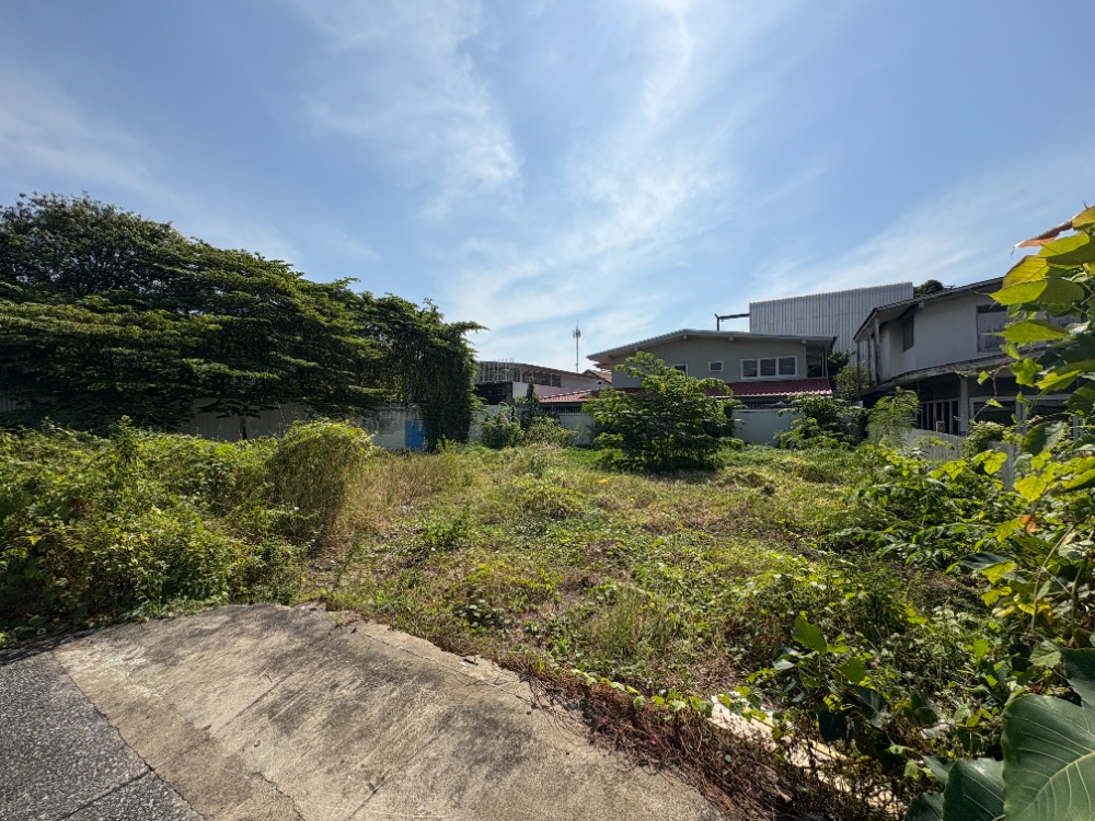 ขายที่ดินอ่อนนุช อุดมสุข : ที่ดิน ปรีดีพนมยงค์ 15 / 97 ตารางวา (ขาย), Land Pridi Banomyong 15 / 97 Square Wa (FOR SALE) PALM848