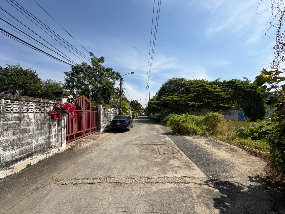 ขายที่ดินอ่อนนุช อุดมสุข : ที่ดิน ปรีดีพนมยงค์ 15 / 97 ตารางวา (ขาย), Land Pridi Banomyong 15 / 97 Square Wa (FOR SALE) PALM848