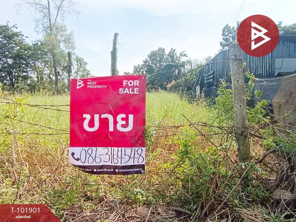 For SaleLandPathum Thani,Rangsit, Thammasat : Urgent sale of vacant land, area 1 ngan 10 sq.wa, Nong Suea, Pathum Thani
