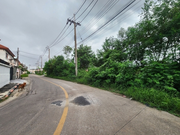 For SaleLandBang kae, Phetkasem : Land for sale, Phetkasem 77, Soi 1, 6 rai filled, opposite Phromsiri Village, only 1.4 km from Phetkasem main road. Suitable for building a village, residential area.