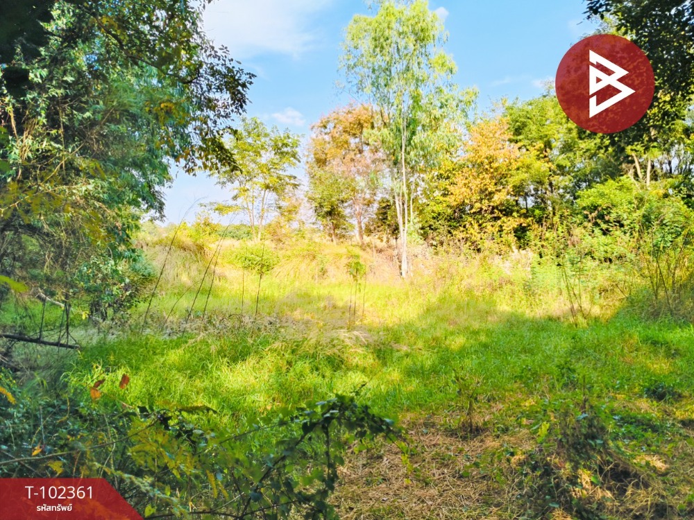 For SaleLandMaha Sarakham : Land for sale, area 6 rai 3 ngan 75 sq m, Kantharawichai, Maha Sarakham