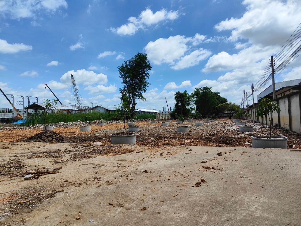 ขายที่ดินวิภาวดี ดอนเมือง หลักสี่ : ขายที่ดินใกล้สนามบินดอนเมืองเดินทางเพียง 5 นาที ติดถนนใหญ่วิภาวดีรังสิต