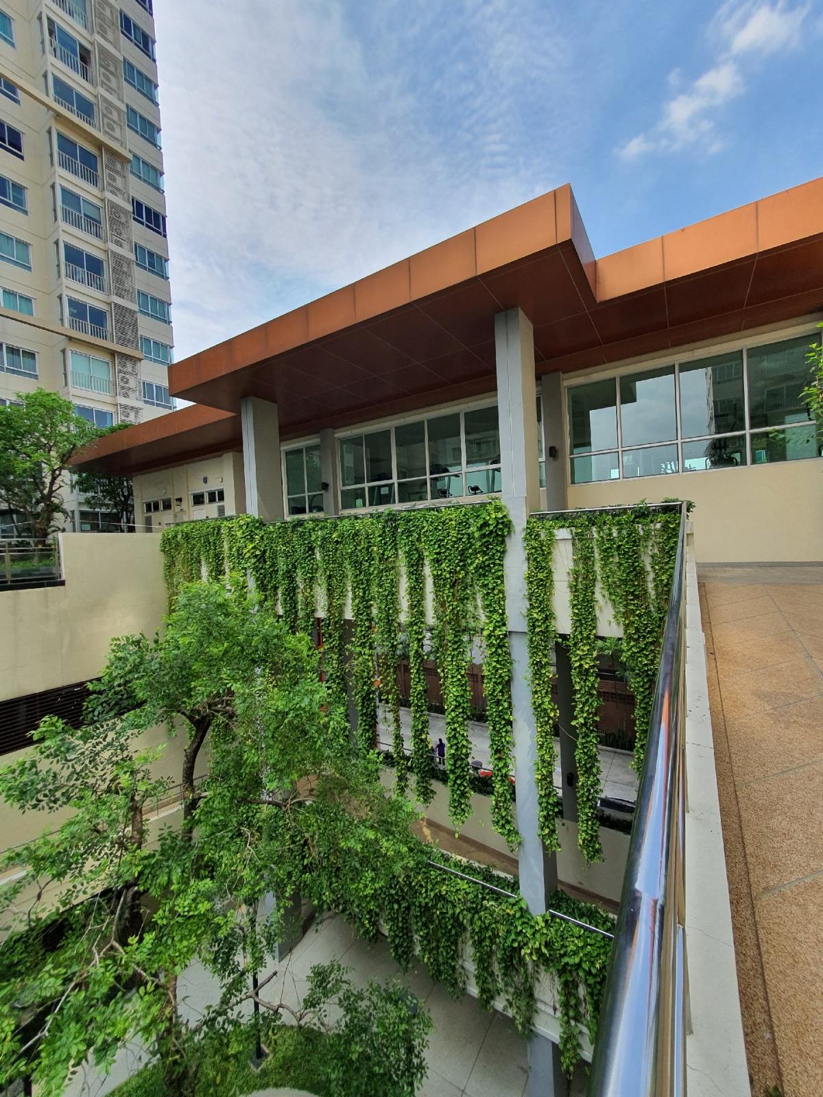 For RentCondoKasetsart, Ratchayothin : Centric Scene Ratchavipha In The Corner room with swimming pool View