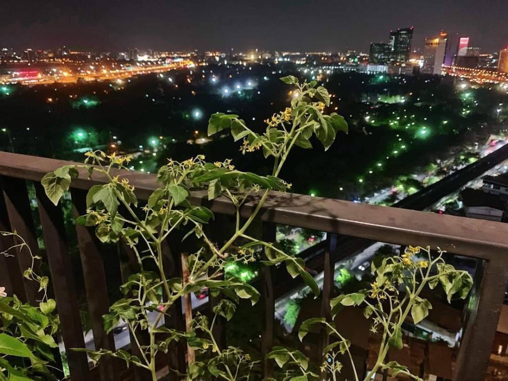 ขายคอนโดสะพานควาย จตุจักร : -ขายด่วน- The Line Jatujak-Mochit  พร้อมผู้เช่า  (S15-0858)