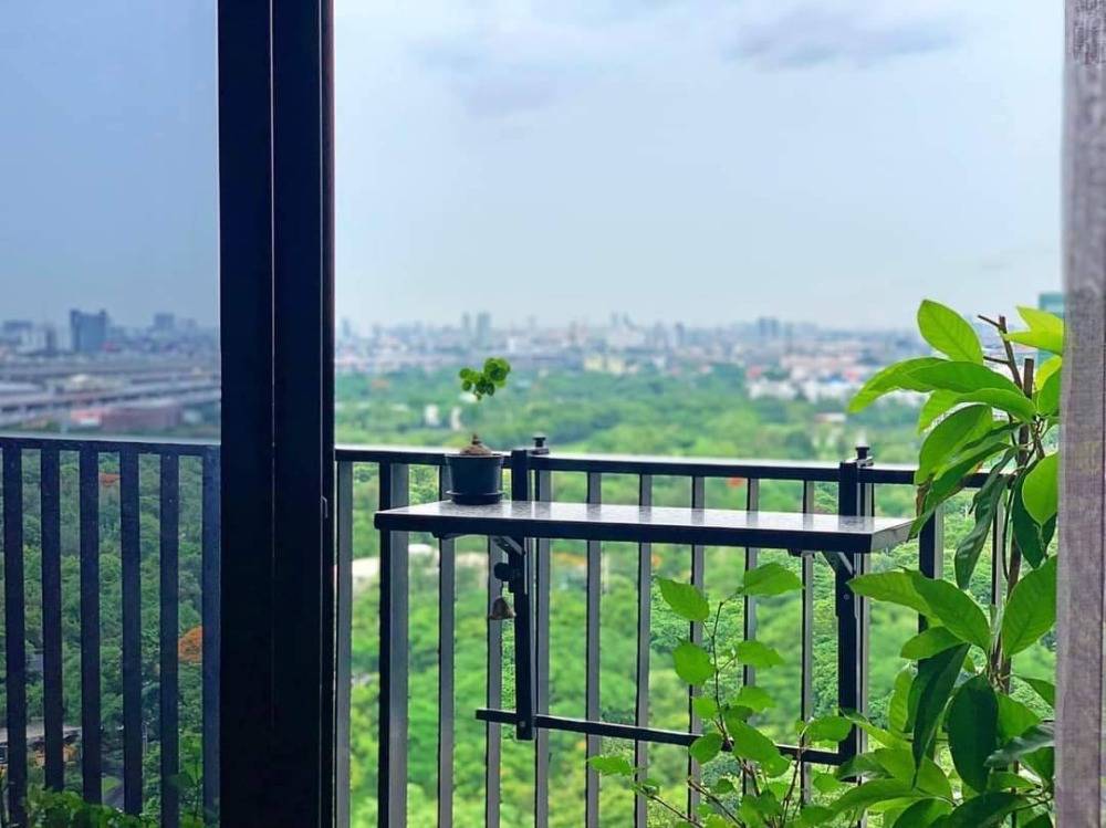 ขายคอนโดสะพานควาย จตุจักร : -ขายด่วน- The Line Jatujak-Mochit  พร้อมผู้เช่า  (S15-0858)