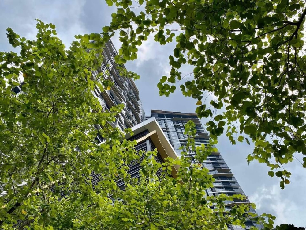 ขายคอนโดสะพานควาย จตุจักร : -ขายด่วน- The Line Jatujak-Mochit  พร้อมผู้เช่า  (S15-0858)