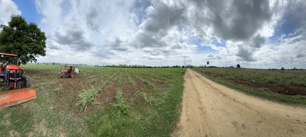 ขายที่ดินเพชรบูรณ์ : 🏞 ที่ดินสวย เพชรบูรณ์ ริมแม่น้ำป่าสัก